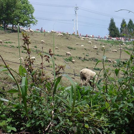 Winlu Vacation Farm Βίλα Renai Εξωτερικό φωτογραφία